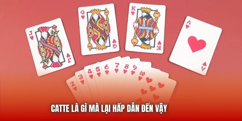 Catte là gì mà lại hấp dẫn đến vậy tại ABC8