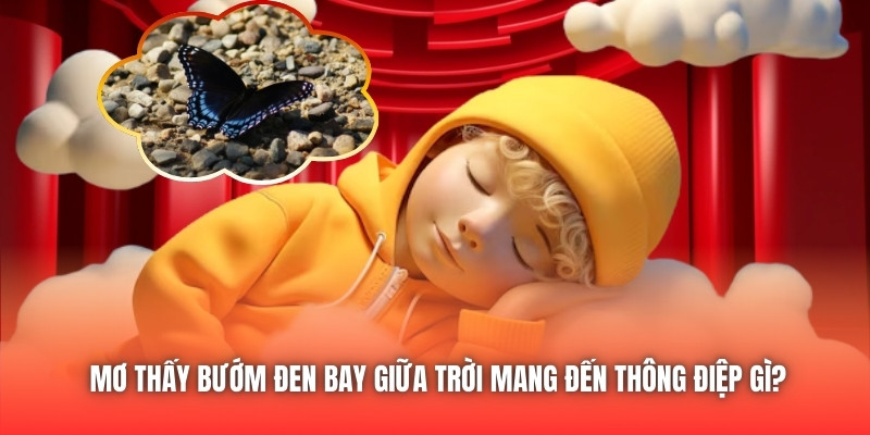 Mơ thấy bướm đen bay giữa trời mang đến thông điệp gì?
