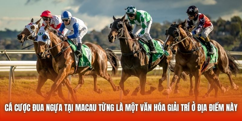 Cá cược đua ngựa tại Macau từng là một văn hóa giải trí ở địa điểm này